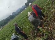 Pengelola Waduk Saguling Diingatkan Soal Keselamatan dan Kesejahteraan Warga Setempat