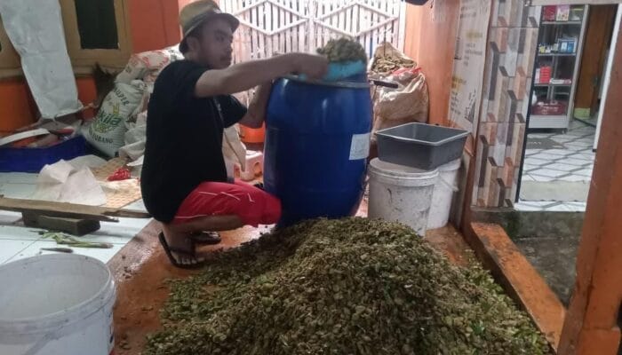 Pemuda Cihampelas Sulap Eceng Gondok Jadi Pakan Ternak, Upaya Pulihkan Sungai Citarum