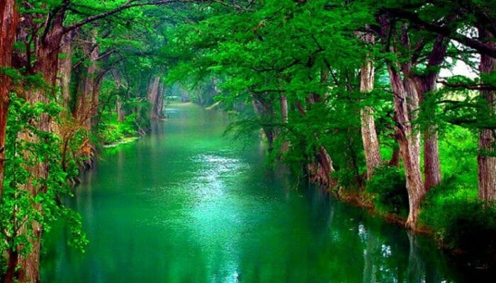 Green Sufisme Jadi Jalan Baru Atasi Krisis Sampah di Kota-Kota Indonesia