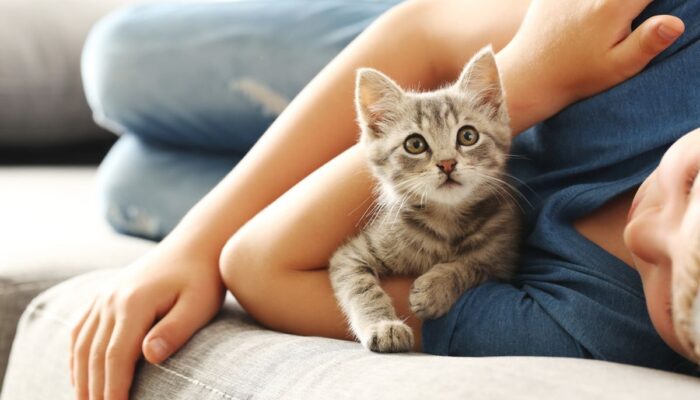 7 Manfaat Memelihara Kucing di Rumah yang Terbukti Secara Ilmiah bagi Kesehatan