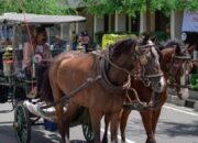 Sais andong mendapatkan kompensasi potensi pendapatan selama arus mudik dan balik lebaran 2026. (Ist)