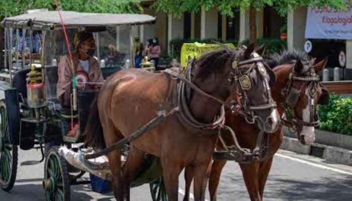 Pemprov Jabar Cairkan Kompensasi 3.000 Sopir Angkot, Becak dan Andong Saat Mudik Lebaran 2026