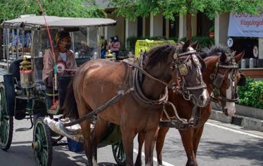 Sais andong mendapatkan kompensasi potensi pendapatan selama arus mudik dan balik lebaran 2026. (Ist)
