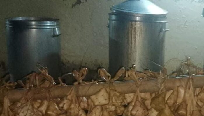 Ini Dia Sejarah dan Filosofi Ketupat Wajib Ada Disaat Lebaran