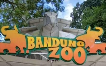 Bandung Zoo akan dihidupkan kembali dengan pengelola yang baru. (Ist)