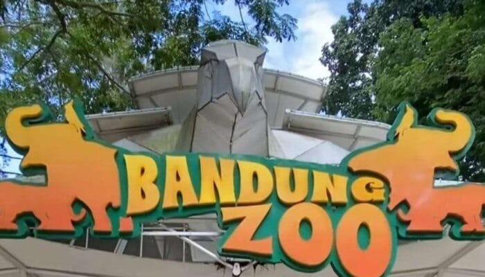 Farhan Pastikan Besok Dilakukan Seleksi Calon Pengelola Bandung Zoo