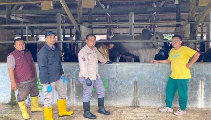 Stok Daging Ayam dan Sapi di Sukabumi Menjelang Idul Fitri Aman