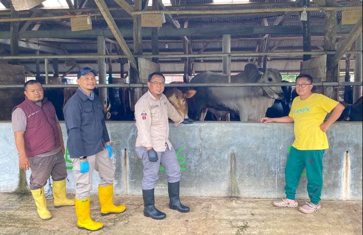Dinas Peternakan Kabupaten Sukabumi memastikan ketersediaan daging sapi dan daging ayam di kabuaten itu aman menjelang lebaran. (Prima Arno Meidiandi/XJabar)