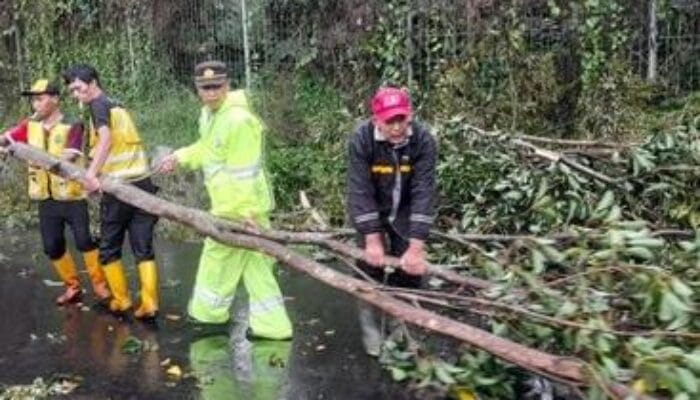 Angin Kencang Mengamuk di Bandung, Puluhan Pohon Tumbang Timpa Mobil