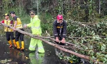 Petugas BPBD Kota Bandung mengevakuasi pohon tumbang akibat hujan deras dan angin kencang. (Dok BPBD Kota Bandung)