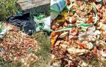 Penampakan kembali sampah diduga produk MBG di Cisaat, Kabupaten Sukabumi. (XJabar)