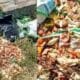 Penampakan kembali sampah diduga produk MBG di Cisaat, Kabupaten Sukabumi. (XJabar)