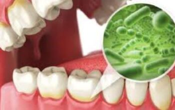 Bakteri Porphyromonas Gingivalis Bisa Ditekan Lewat Blokir Sinyal AHL di Plak