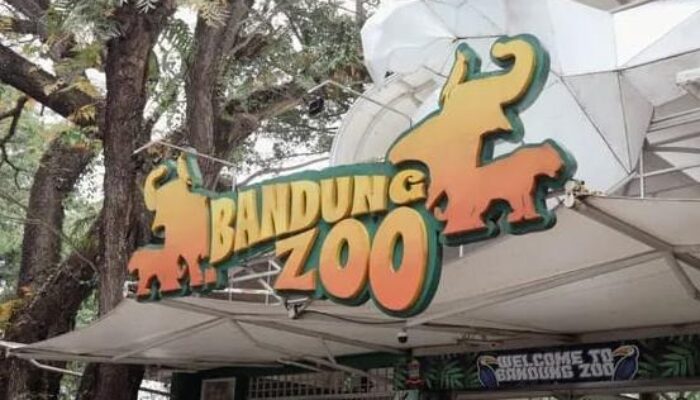 Bandung Zoo Belum Punya Pengelola Baru, Pemkot Masih Seleksi Kandidat