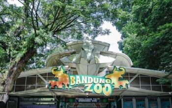 Pemerintah Provinsi Jawa Barat siap ambil alih pengelolaan Bandung Zoo. (Ist)