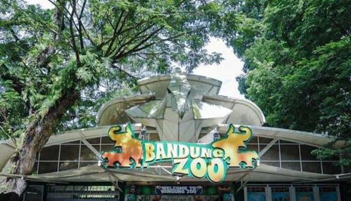 Pemprov Jabar Siap Ambil Alih Bandung Zoo Jika Seleksi Pengelola Masih Terkendala