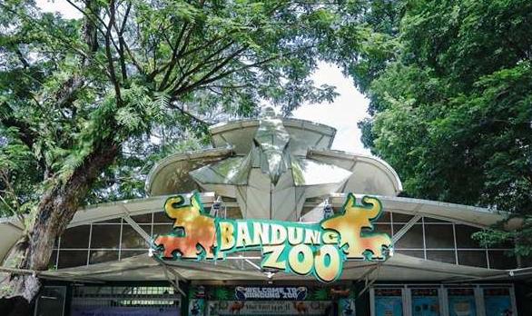 Pemerintah Provinsi Jawa Barat siap ambil alih pengelolaan Bandung Zoo. (Ist)