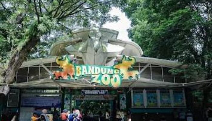 Pemkot Bandung Tetapkan Fauna Land Ancol sebagai Pengelola Baru Bandung Zoo