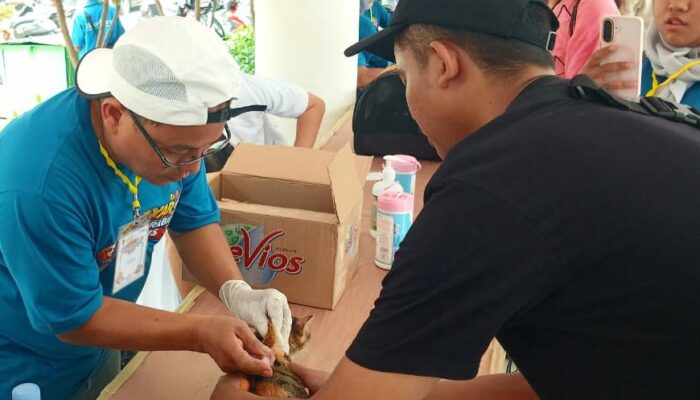 Peringati Hari Rabies Sedunia, DPKPP Karawang Suntik Ratusan Anabul