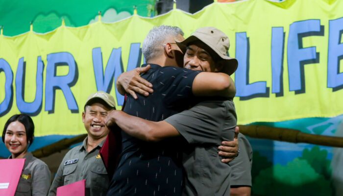 Cegah Pohon Tumbang, DPKP Kota Bandung Rutin Lakukan Pemangkasan dan Peremajaan